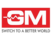 gm 1